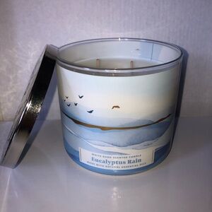 Bath and Body Works “Eucalyptus Rain”